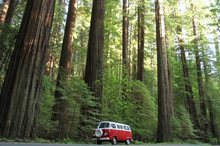 Northern California Coast Road Trip: Mendocino, Humboldt, and the Redwoods