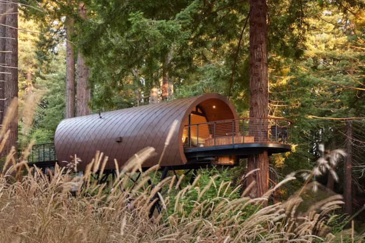 Best Treehouses and Glamping Stays in California
