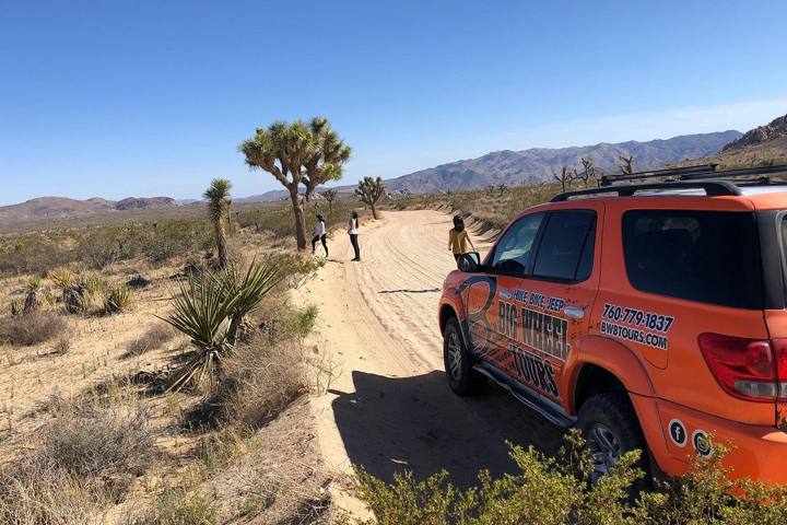 California Desert 4x4 Trails: Anza-Borrego to Mojave