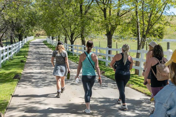 Julian Weekend Guide: Apple Pie, Gold Mines and Hikes