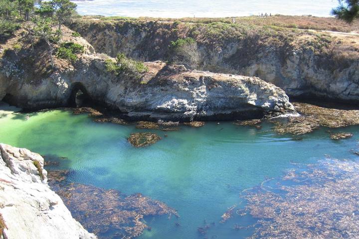 Point Lobos State Natural Reserve: Trails, Parking and Tips