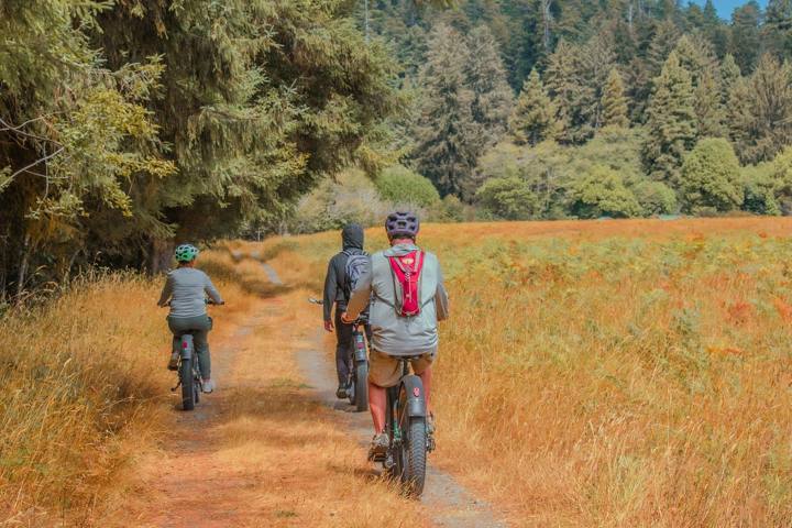 California Bear Safety Guide: Lockers, Canisters, Trails