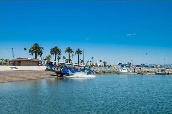 Things to Do in La Jolla: Seals, Sea Caves and Beaches