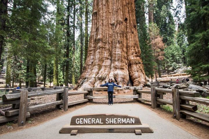 America the Beautiful Pass: Is It Worth It in California?