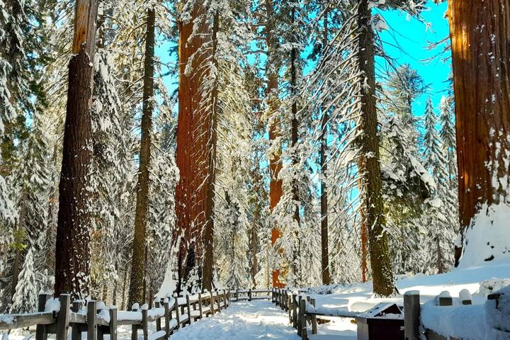 How to Avoid Crowds in California National Parks