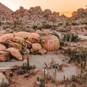 Joshua Tree