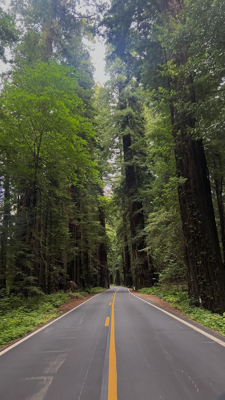 Humboldt County