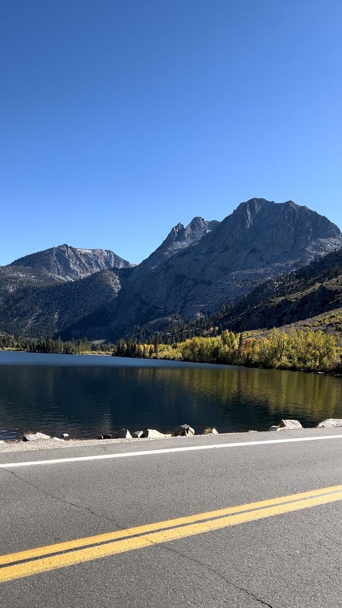 Mammoth