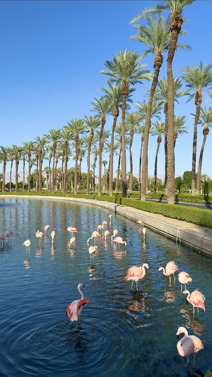 Palm Springs