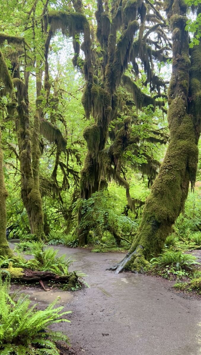 Washington