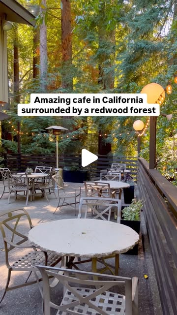 Espresso under the redwoods