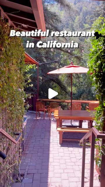 Big Sur Roadhouse, over the forest
