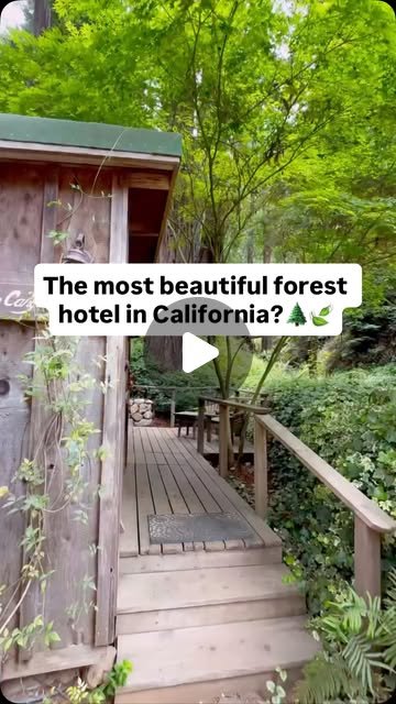 Deetjen's, tucked in the forest