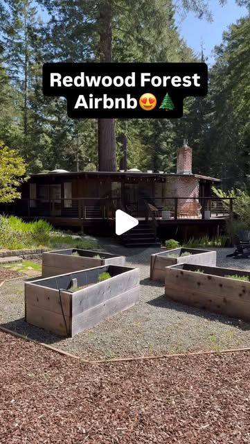 A redwood forest Airbnb