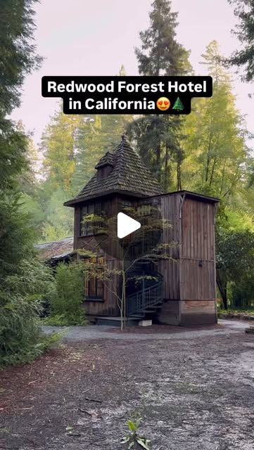 A hotel in the redwood forest