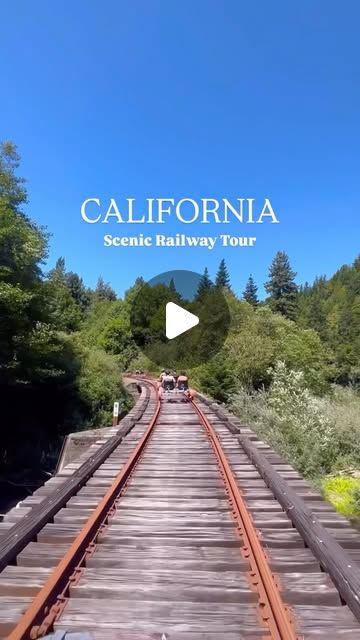 A scenic railway through the redwoods
