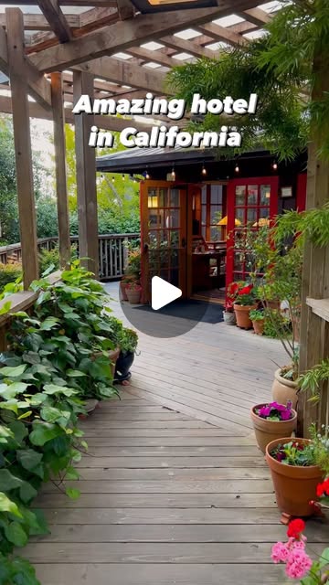 The Stanford Inn, forest by the sea