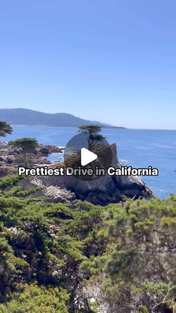 10 stops along 17-Mile Drive