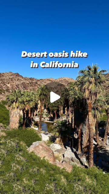 Waterfalls and palm oases in the Indian Canyons