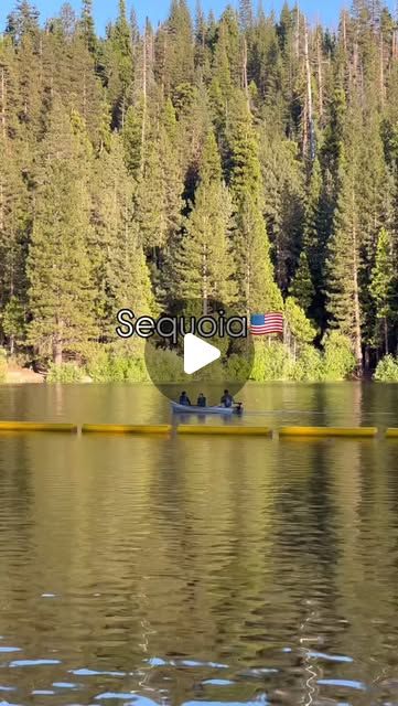 A morning on the water in Sequoia