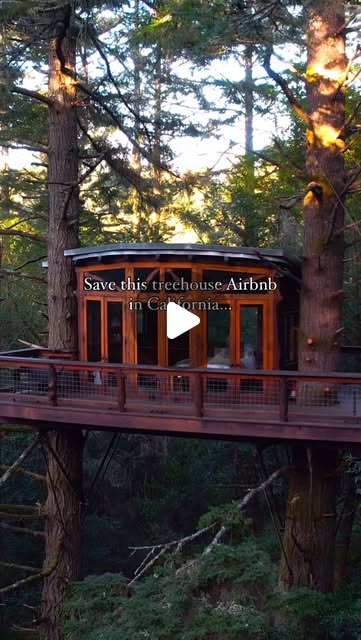A treehouse farm stay near the coast