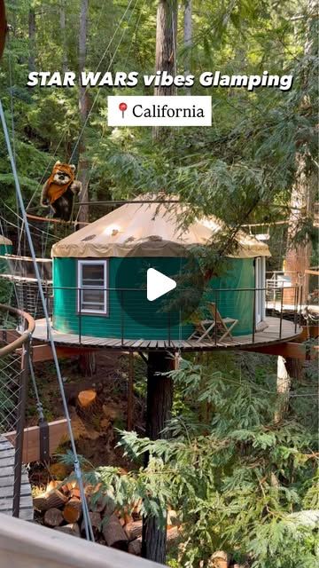 Glamping in the redwoods