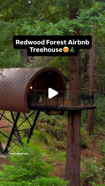 Treehouses in the wine country