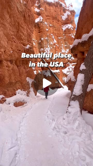 The trails and viewpoints of Bryce