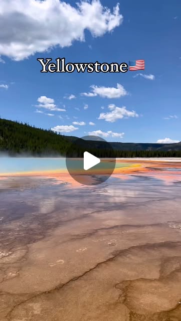 Yellowstone, in driving order