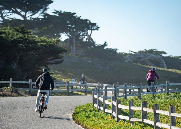 Monterey’s 17-Mile Drive Guided Electric Bike Tour (3 Hours)
