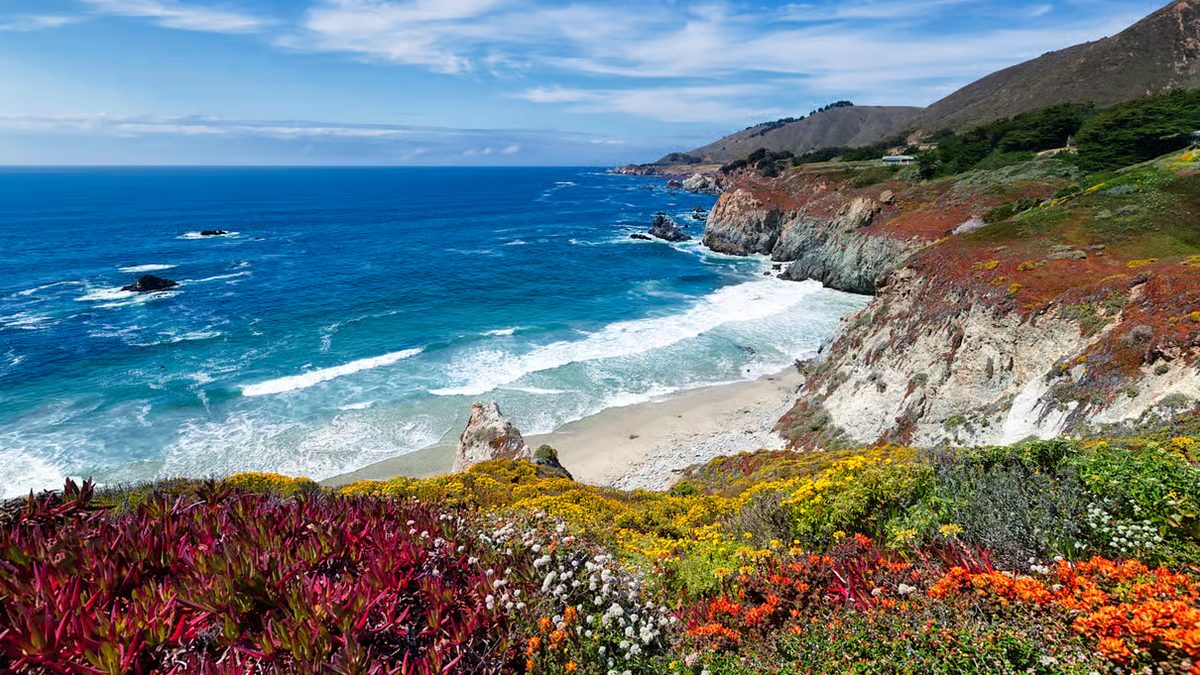 Big Sur Sightseeing Tour with 4 to 5 Stops
