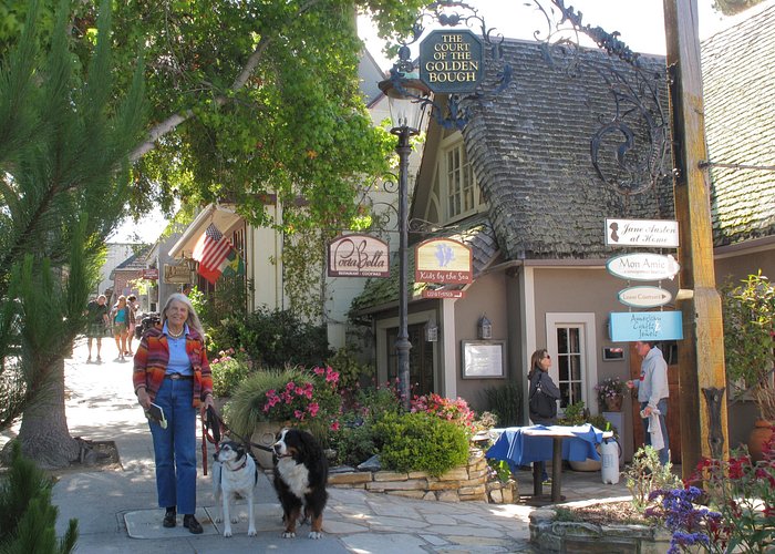 Guided 2-Hour Walking Tour in Carmel-by-the-Sea