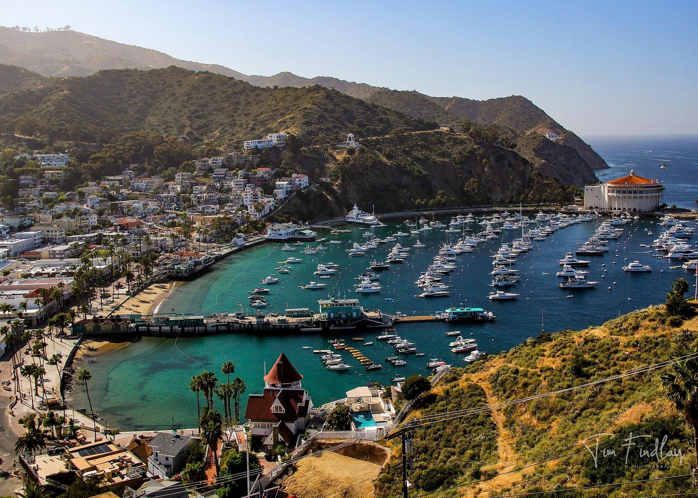 Catalina Island Private 2-Hour Tour of Avalon
