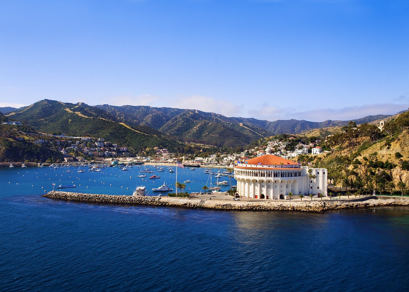 Discover Avalon: Catalina Scenic Tour
