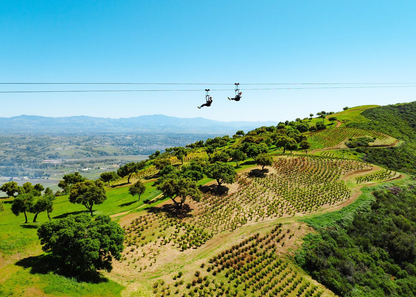 Epic Zipline Tour