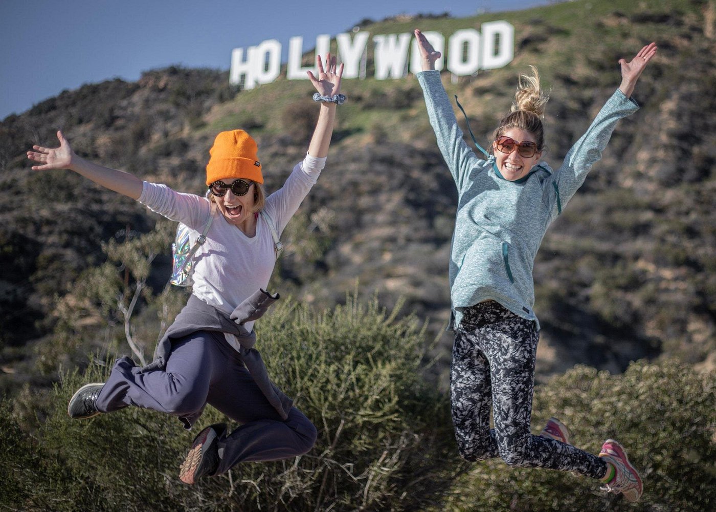 Hollywood Sign 2.5-Hour Tour with Comedians and Their Dogs