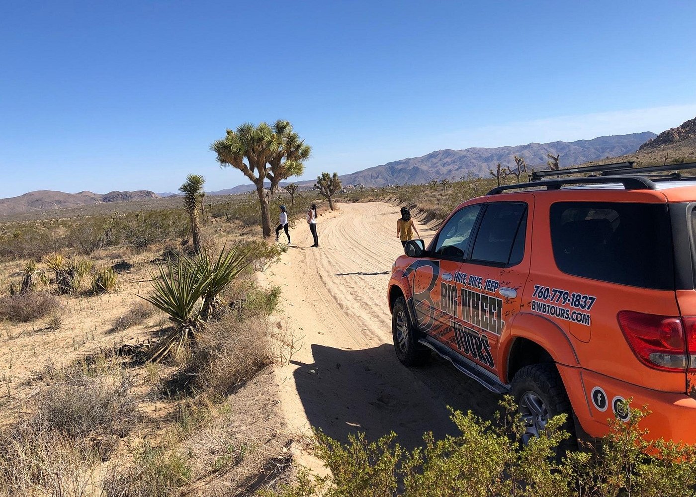 Joshua Tree National Park Offroad Tour