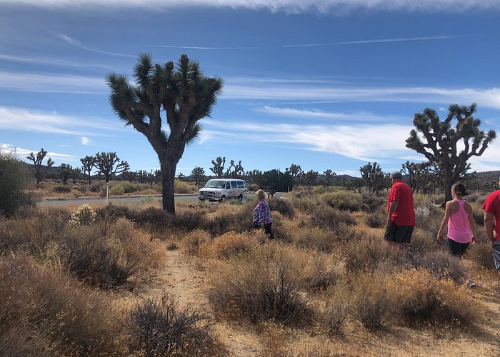 Joshua Tree National Park Paved Road Tour