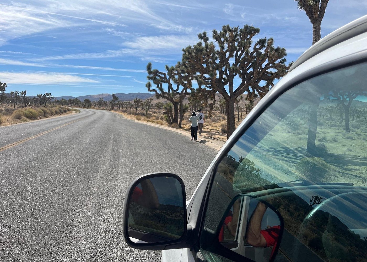 Joshua Tree National Park Private Sightseeing Adventure Tour