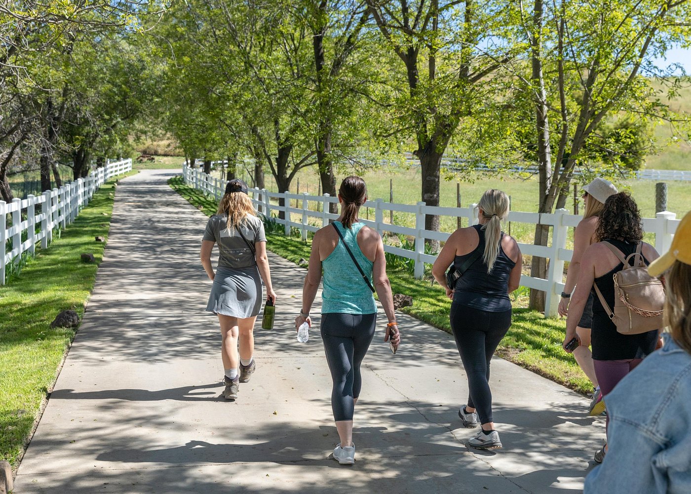 Malibu: Guided Vineyard Hike with Photo Stops and Wine