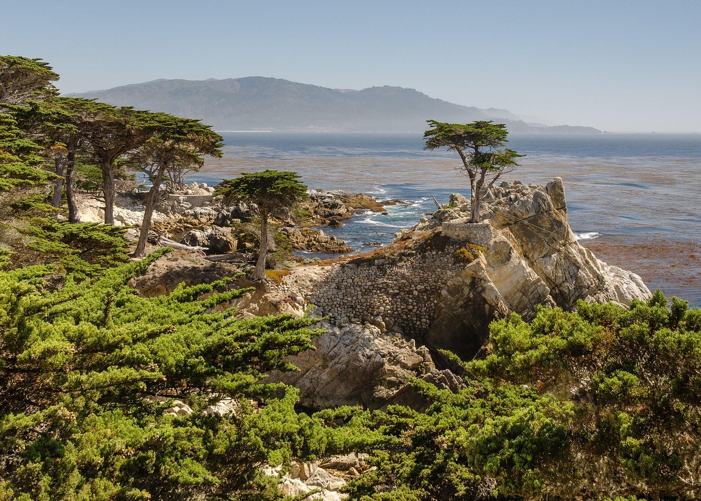 Monterey, Carmel and 17-Mile Drive Full-Day Tour