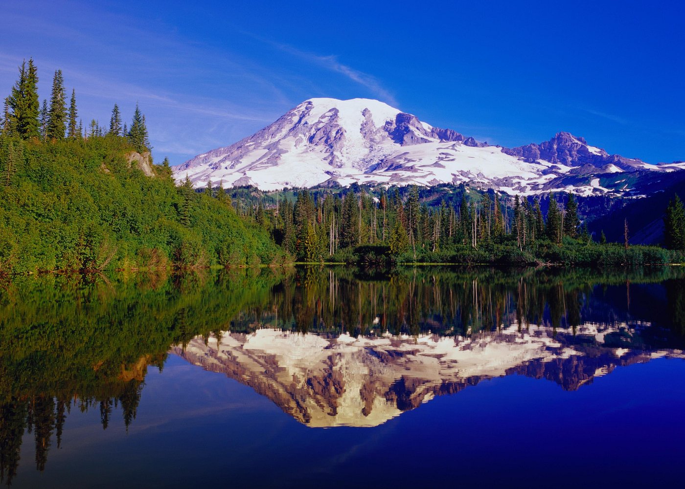 Mt. Rainier Day Tour from Seattle