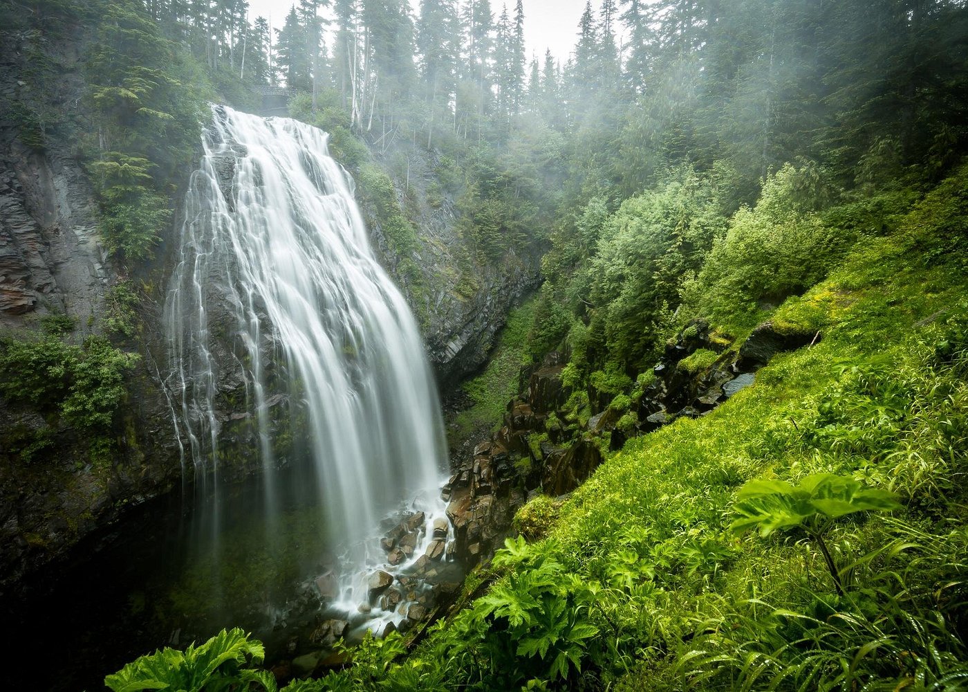 Mt. Rainier National Park Highlights Tour