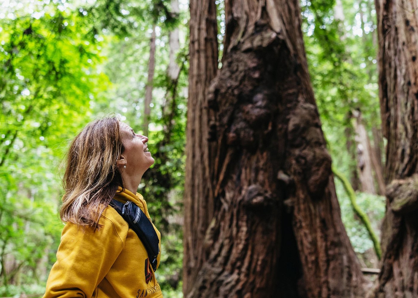 Muir Woods and Sausalito Tour (Return by Bus or Ferry)
