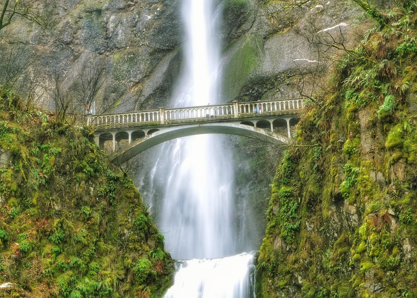 Multnomah Falls and Columbia River Gorge Half-Day Hiking Tour