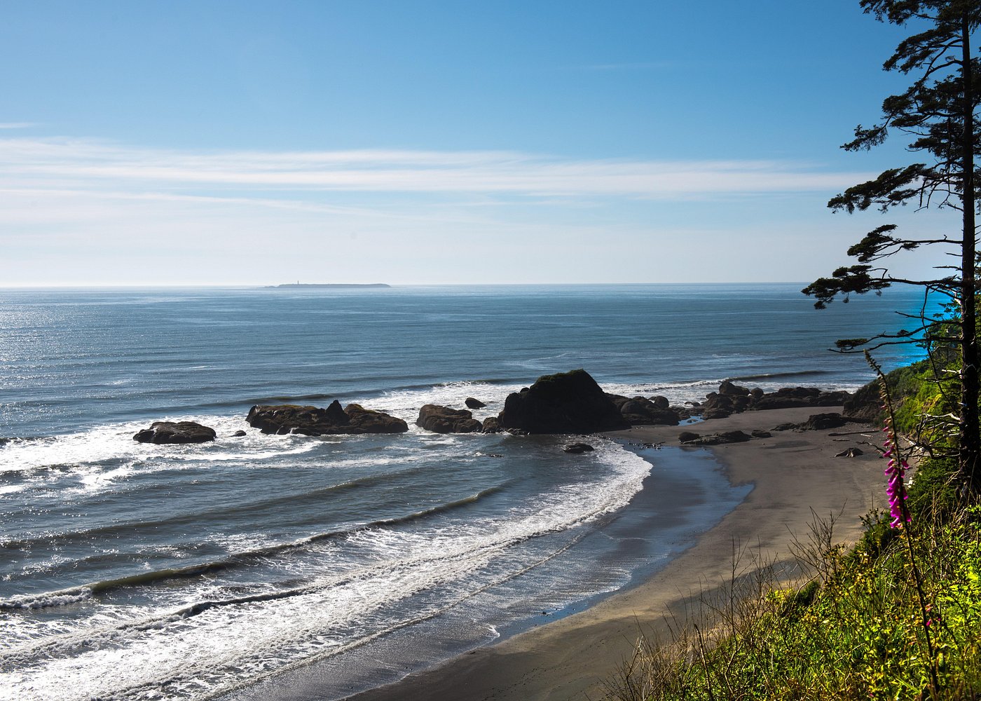Olympic National Park Day Tour from Seattle