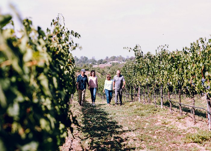 3-Winery Paso Robles Tour with Picnic Lunch from Paso Robles