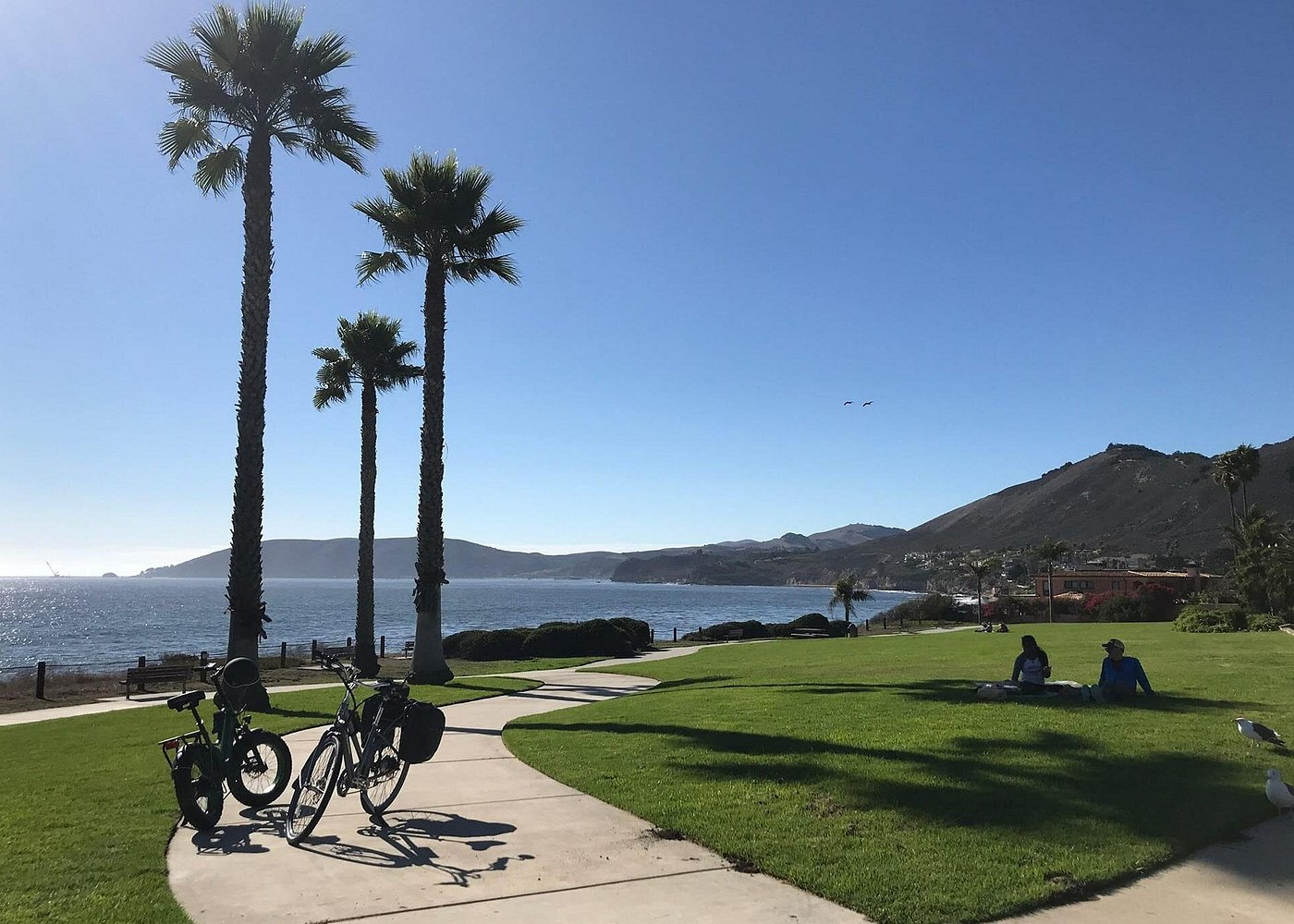 Guided E-Bike Tour of Pismo Beach, Shell Beach and Avila Beach
