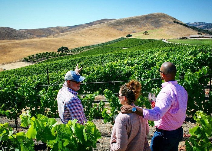 Small-Group Wine Tour to Exclusive Vineyards