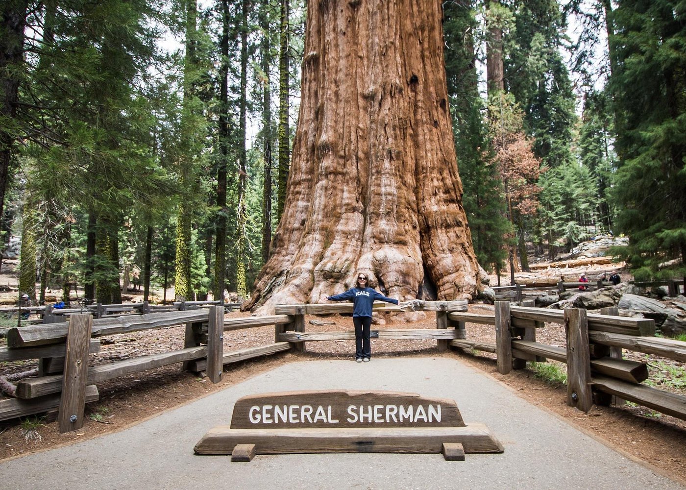 Private Guided Hiking Tour — Sequoia National Park